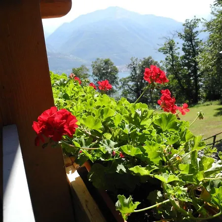 Piccolo Paradiso Appartement *